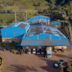 Mbogo Valley Tea Factory