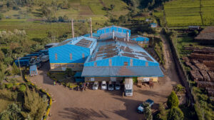 Mbogo Valley Tea Factory