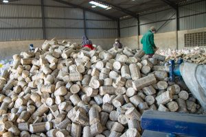 briquettes Kipchimchim group