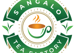 SANGALO TEA-1